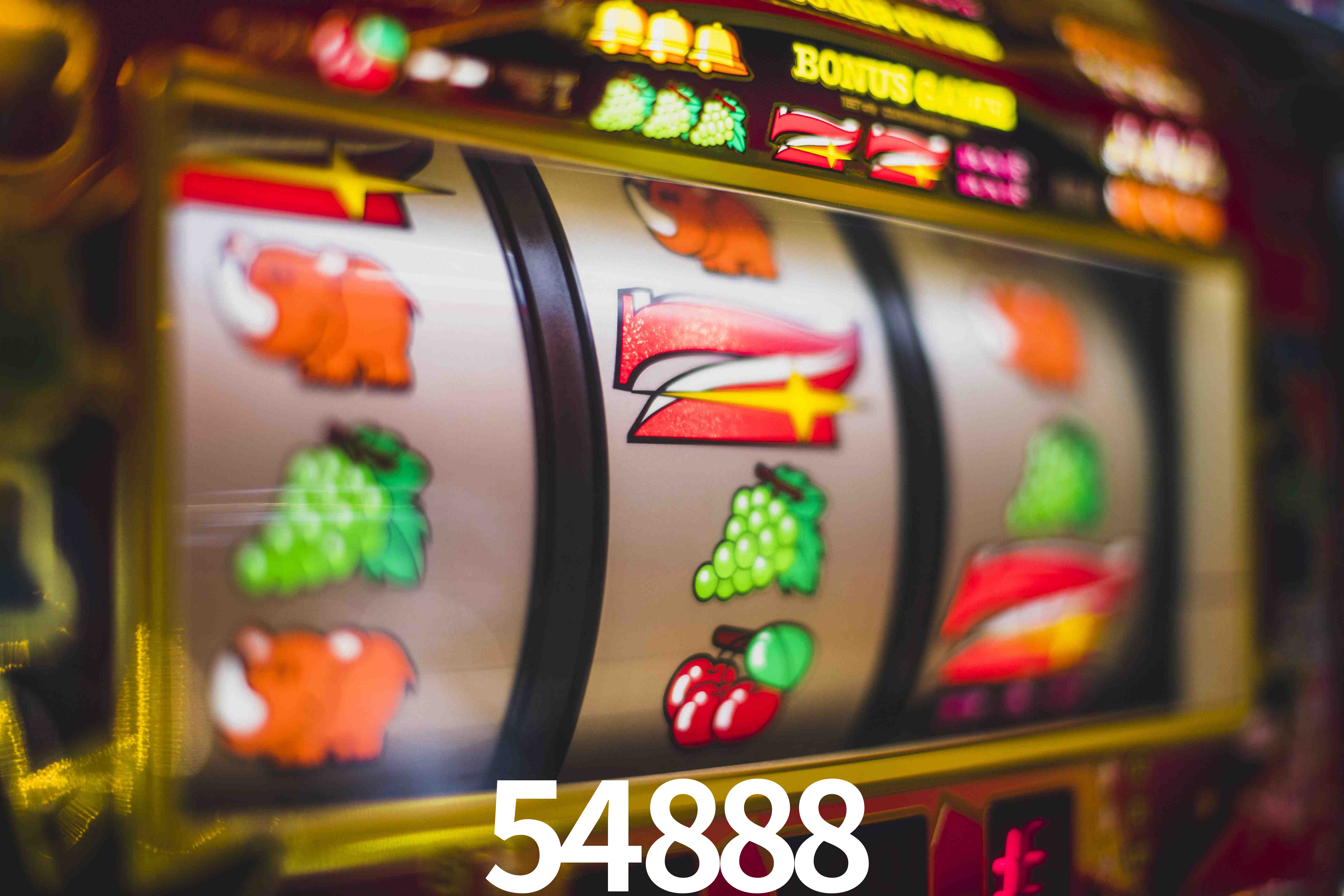 Basketball Betting 54888